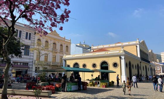 Florianópolis escolhida uma das 20 cidades líderes em resíduo zero do mundo